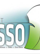ECSSO - SYNDICAT DES ELEVEURS DE CHEVAUX DE SANG DU SUD-OUEST